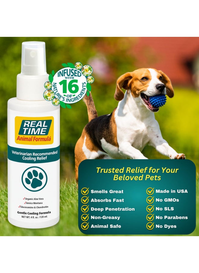 Real Time Pain Relief Real Time Pain Relief Pet Formula, 4 Ounce Spray Bottle  - Image 2