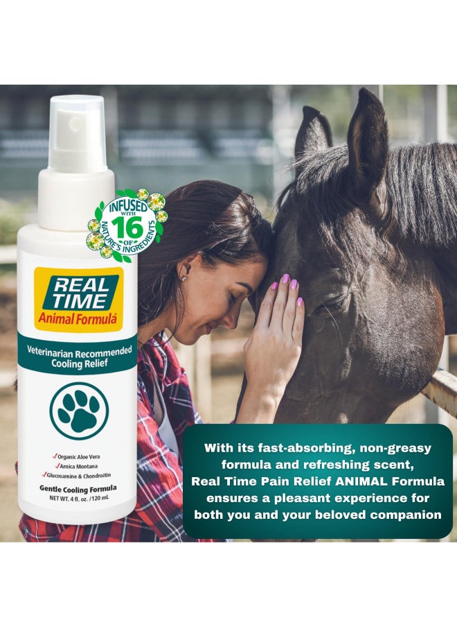 Real Time Pain Relief Real Time Pain Relief Pet Formula, 4 Ounce Spray Bottle  - Image 5