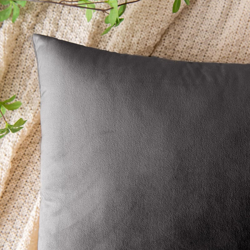 EMEMA Velvet Cushion Cover 50 x 50 cm, Decorative Cushion Cover, Grey, Sofa Cushion, Lumbar Cushion, Throw Cushion Cover with Hidden Zip, Bedroom, Sofa, Set of 2 - Image 3