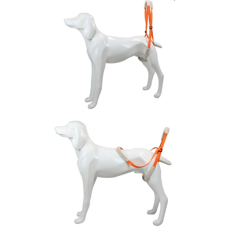 Nylon Dog Leg Support Harness Sling Aid for Hind Legs Recovering Surgery Orange - Image 3