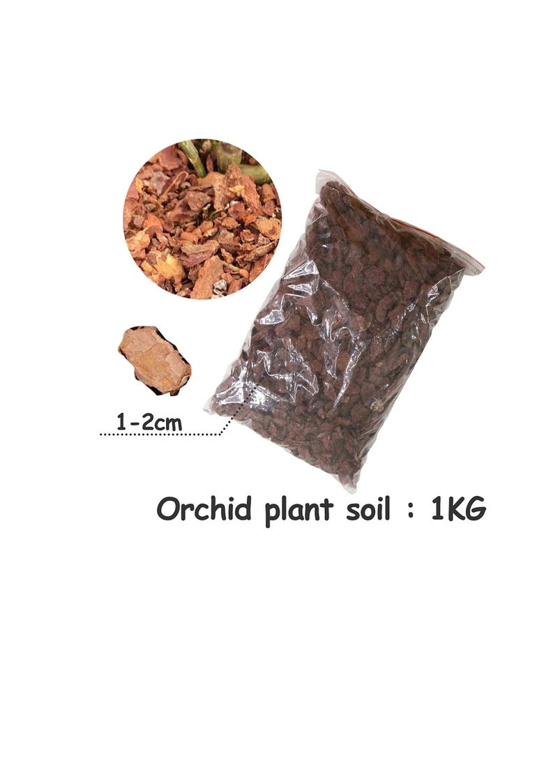 100% Natural Ground Pine Bark for Orchid - Planter Garden Mulch for Landscaping - by MadeTerra (Medium) - Image 2