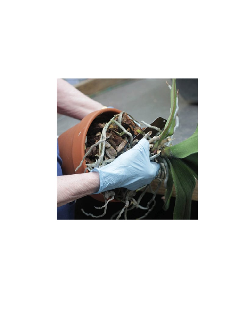 100% Natural Ground Pine Bark for Orchid - Planter Garden Mulch for Landscaping - by MadeTerra (Medium) - Image 3