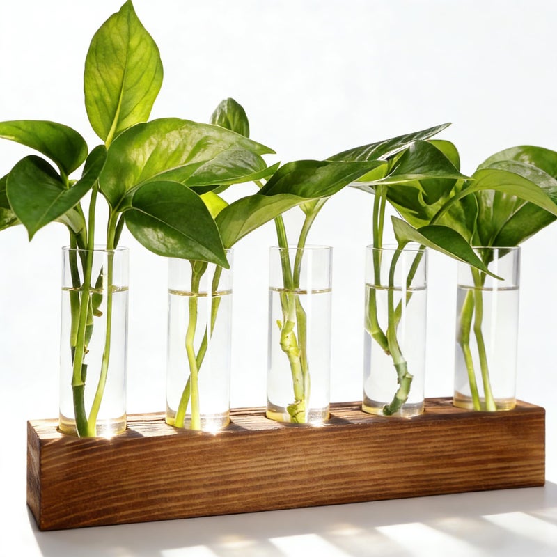 Renmxj Plant Propagation Station, Plant Terrarium with Wooden Stand, Plants Pots for Hydroponics, Small Birthday Gardening Gifts for Women Mom Plants Lovers Unique - 5 Glass Test Tubes Vases - Image 1