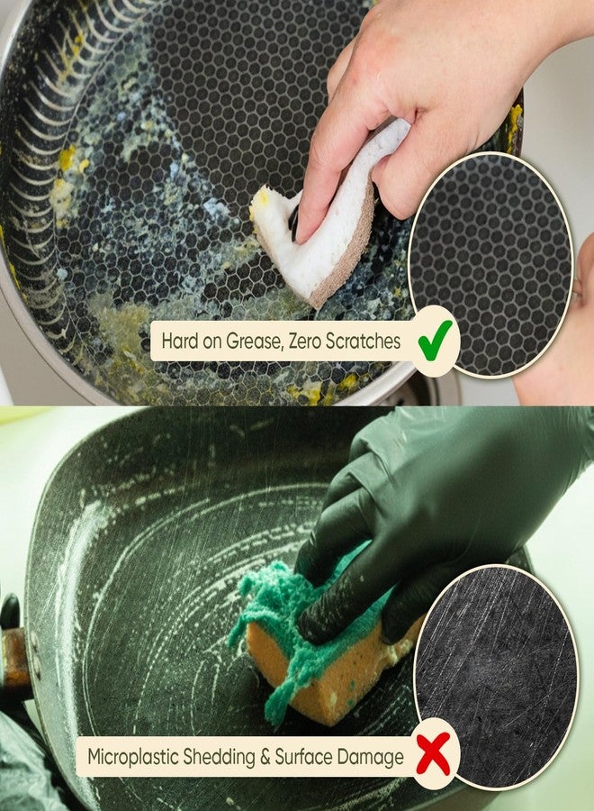 EcoFox Plant-Based Kitchen Sponges (24 Pack) | FSC-Certified & PETA Approved | Natural Cellulose & Coconut Blend Scrubber Dish Sponges for Kitchen | S-Shaped Design | Eco-Friendly, Non-Scratch & Non-Toxic - Image 5