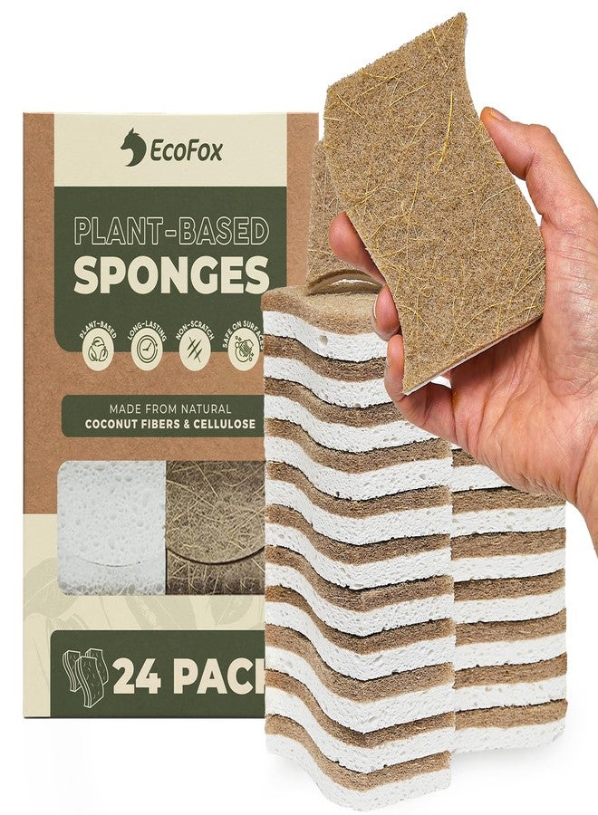 EcoFox Plant-Based Kitchen Sponges (24 Pack) | FSC-Certified & PETA Approved | Natural Cellulose & Coconut Blend Scrubber Dish Sponges for Kitchen | S-Shaped Design | Eco-Friendly, Non-Scratch & Non-Toxic - Image 1