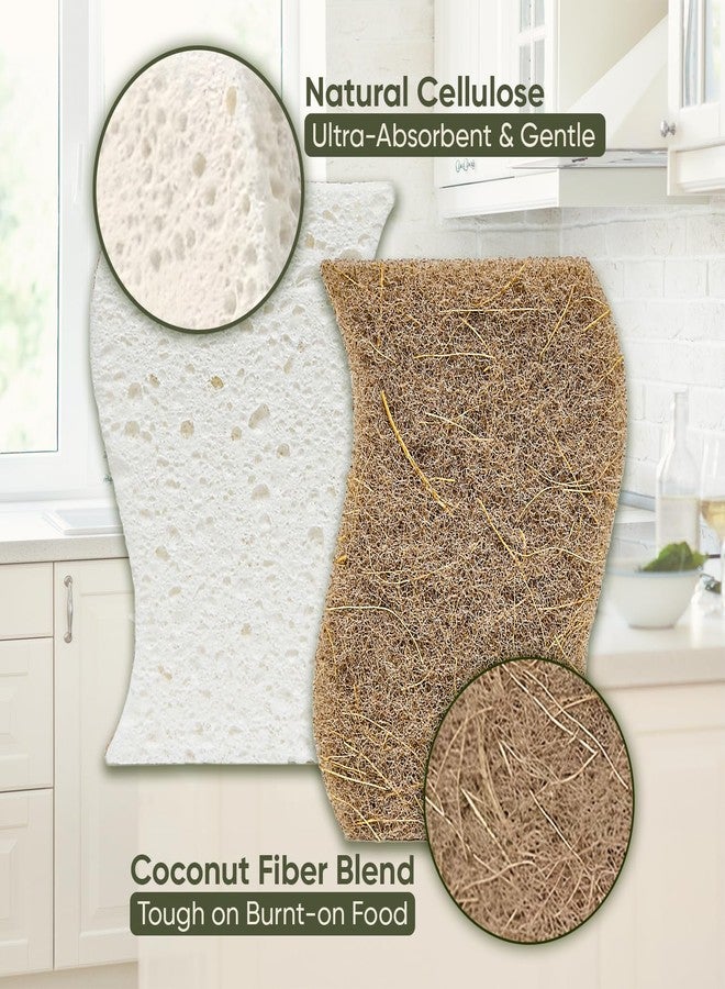 EcoFox Plant-Based Kitchen Sponges (24 Pack) | FSC-Certified & PETA Approved | Natural Cellulose & Coconut Blend Scrubber Dish Sponges for Kitchen | S-Shaped Design | Eco-Friendly, Non-Scratch & Non-Toxic - Image 3