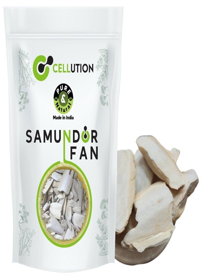 سيليوشن ساموندار جهاج - 50 جرام سمندر جهاج، رغوة البحر، مروحة سامندر (50 جرام)