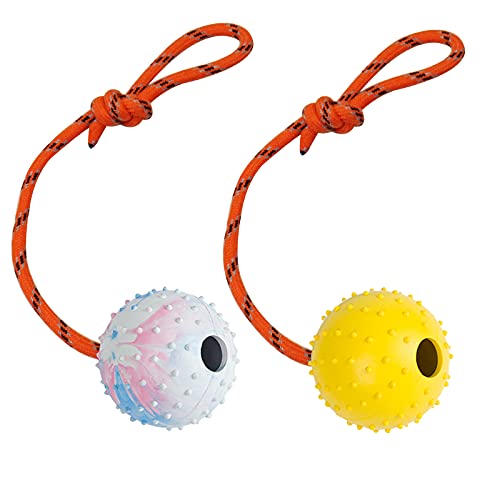 Nevperish 2 Pack Dog Ball K9 Ball on Rope for Reward Fetch Play 6cm - Image 1