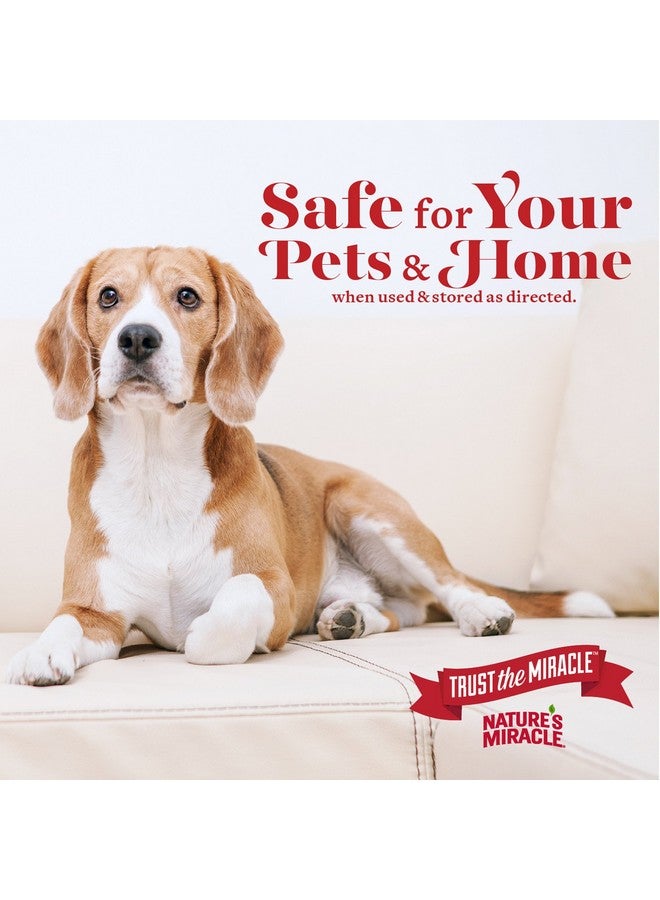 Nature's Miracle P98148 Dog Urine Destroyer , White, 128 Oz - Image 5