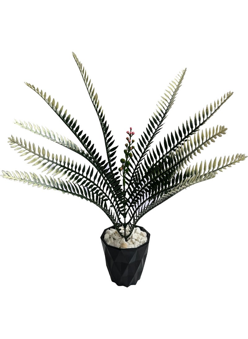 Artificial Flower Black Diamond White Fower (Ladder of Love) Plant in Pot - pzsku/ZEB659BAD36F8E00B4F0CZ/45/_/1728062932/33d4b462-3f7a-4aca-ab79-9d5daa8ac7c7