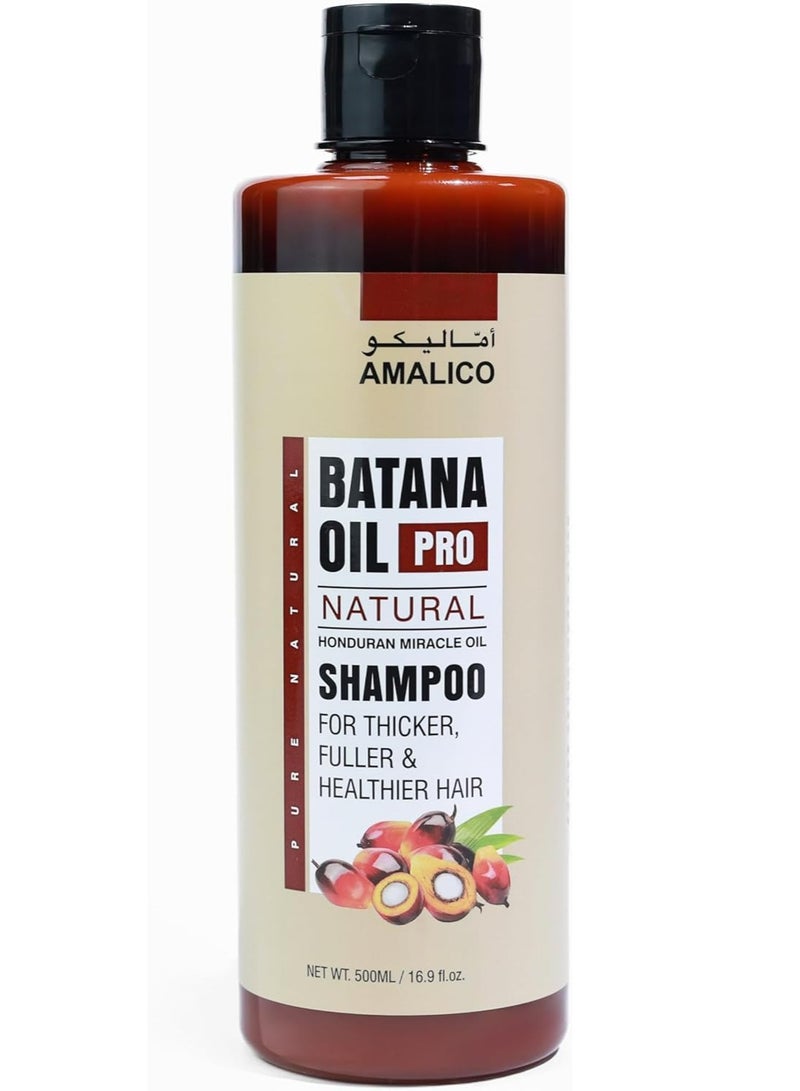 AMALICO Batana Oil Shampoo 500 ML - Image 1