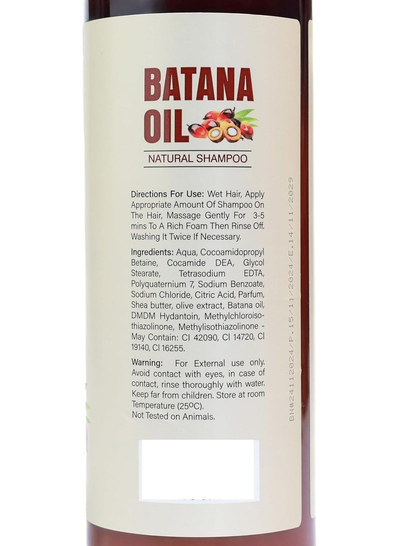 AMALICO Batana Oil Shampoo 500 ML - Image 2