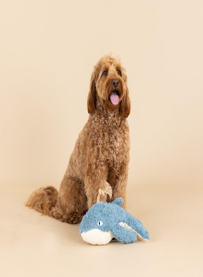 Fringe لعبة كلب ثلاثية الأبعاد من قماش قطني صديق للبيئة من Fringe Studio OH Whale، مجموعة PetShop (718007) - Image 4