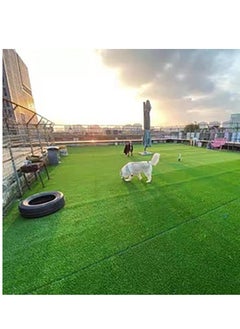 ماركة غير محددة سجادة عشب صناعي FFD باللون الأخضر، عشب صناعي للمنزل في الهواء الطلق، ديكور للحديقة 2 × 8 سم  - Image 2