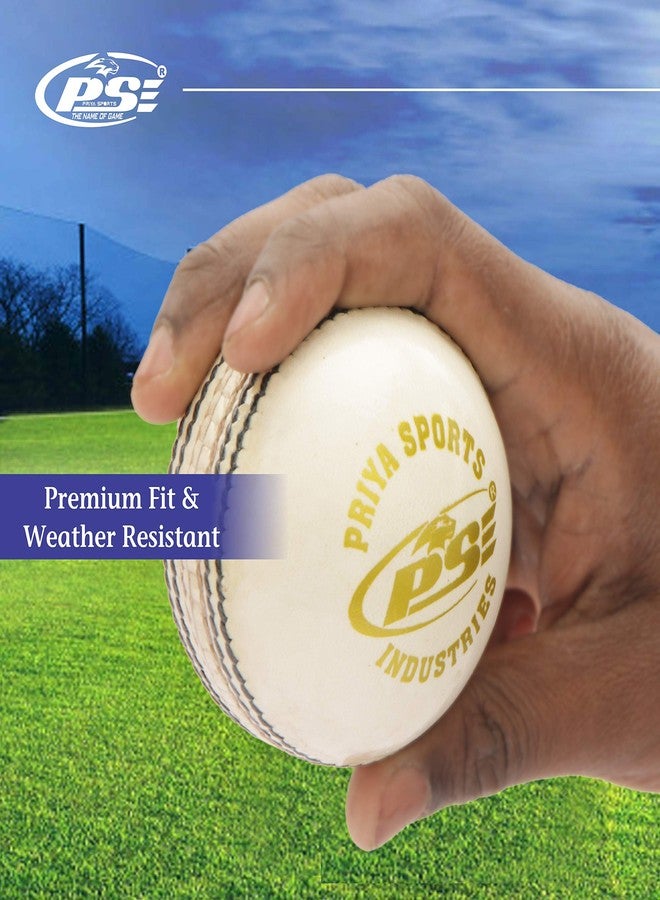 PSE Leather Cricket Ball, Size Standard, (White, Pack of 1) - Image 4