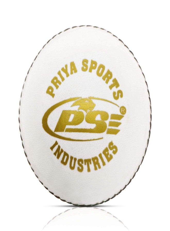 PSE Leather Cricket Ball, Size Standard, (White, Pack of 1) - Image 1