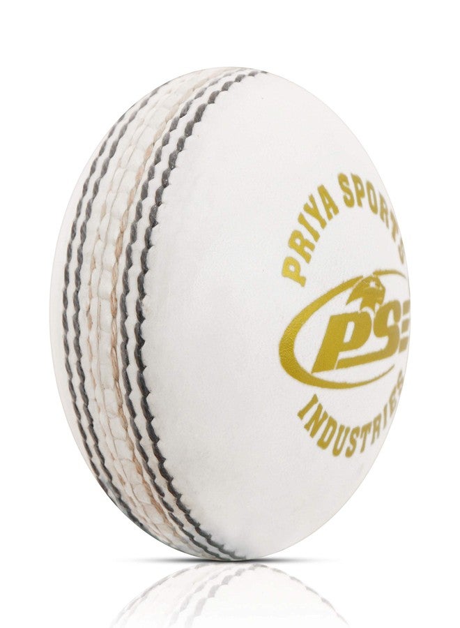 PSE Leather Cricket Ball, Size Standard, (White, Pack of 1) - Image 2