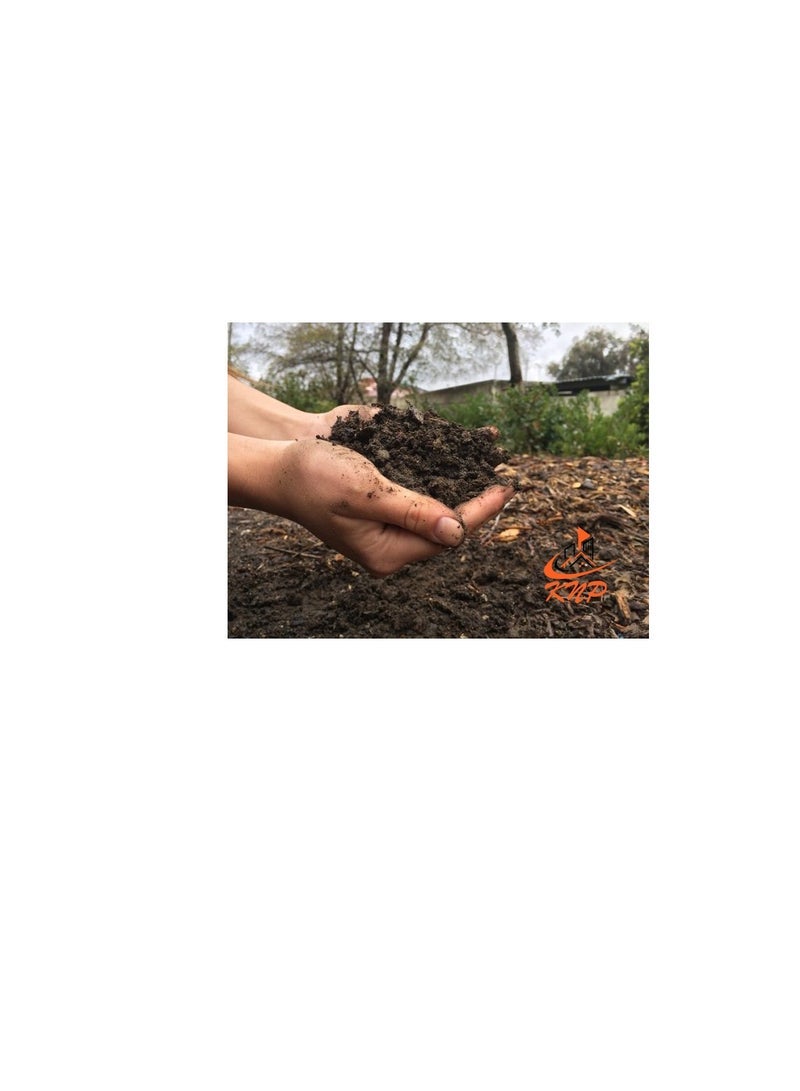 KNP Giant Fruit 100% organic general stimulant Fertilizer 1Kg - Image 3