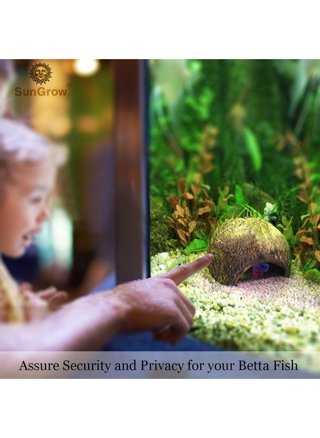SunGrow - Betta Fish Cave, Habitat Made From Coconut Shell, SoftTextured Smooth Edged Spacious Hideout, For Resting And Breeding, 1 Pc - Image 1