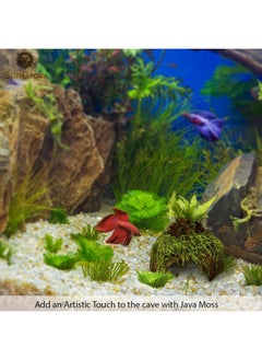 SunGrow Betta Fish Cave, Habitat Made From Coconut Shell, SoftTextured Smooth Edged Spacious Hideout, For Resting And Breeding, 1 Pc  - Image 4