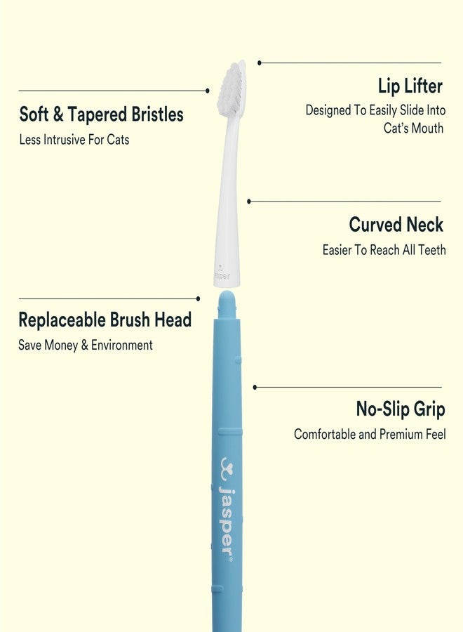 جاسبر فرشاة أسنان جاسبر مايكروبراش المعتمدة من الأطباء البيطريين للقطط، طقم فرشاة أسنان بشعيرات ناعمة للقطط والكلاب الصغيرة، مقبض مانع للانزلاق مع رأسين قابلين للاستبدال، يُستخدم مع معجون أسنان القطط. - Image 5