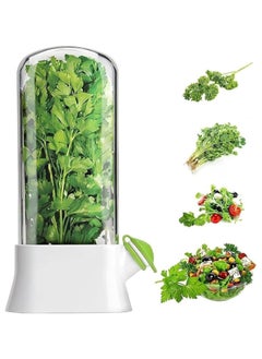 Oasisgalore Refrigerator Herb Keeper - Premium Herb Saver, Keeps Cilantro & All Herbs Fresh Longer  - Image 1