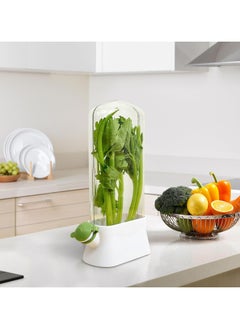 Oasisgalore Refrigerator Herb Keeper - Premium Herb Saver, Keeps Cilantro & All Herbs Fresh Longer  - Image 2