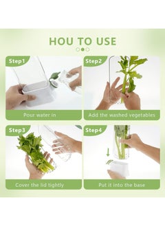 Oasisgalore Refrigerator Herb Keeper - Premium Herb Saver, Keeps Cilantro & All Herbs Fresh Longer  - Image 3