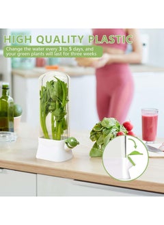 Oasisgalore Refrigerator Herb Keeper - Premium Herb Saver, Keeps Cilantro & All Herbs Fresh Longer  - Image 4