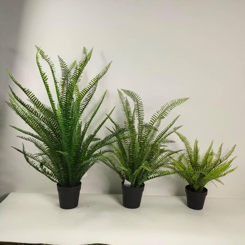 FOX & FERN FOX FERN Artificial Real Touch Imported Fern Potted Plant Elevate Any Corner of Your HomeGarden Best for Gifting Party Wedding and Home Decor Ht 70CM 70CMFP - Image 5