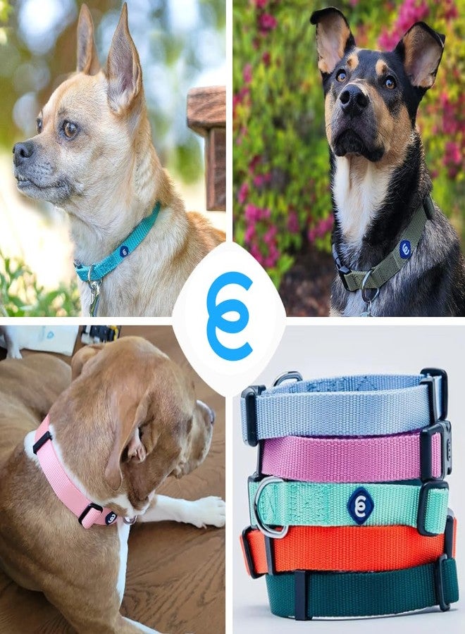 Blueberry Pet Essentials Matching Medium Dog Collar & Key Holder Set | Adjustable Classic Solid Color Nylon Dog Collars for Medium Dogs w/Key Holder | Black Dog Collar for Medium Dogs - Image 5