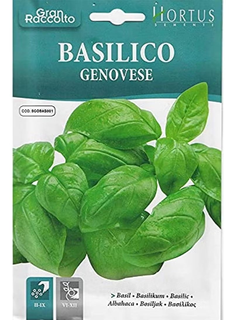 Hortus Basil Premium Quality Seeds (Basilico Genovese) (Made in Italy) by Hortus Sementi