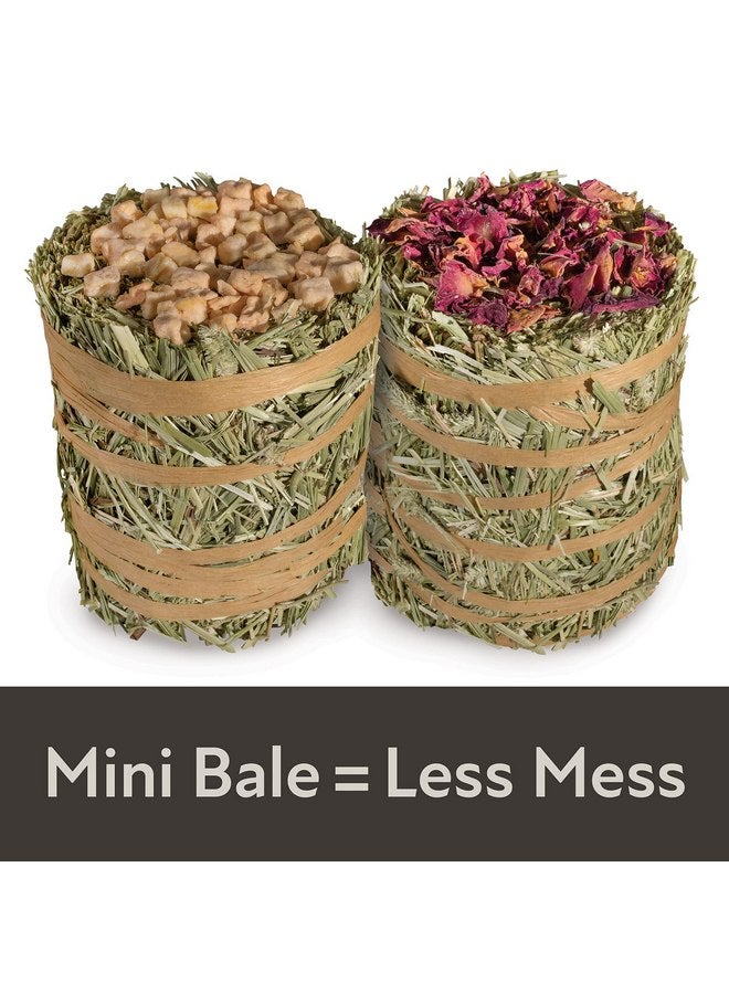 كايتي بالات القش الصغيرة من Kaytee Field+Forest، بنكهة التفاح والورد، عبوتان، 7 أونصات - Image 2
