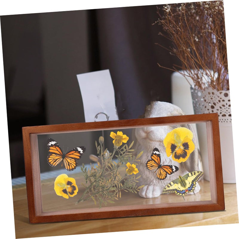 Acrylic Display Case For Dried Flowers And Insects 6x6x6 Inches Table Decoration - Image 4