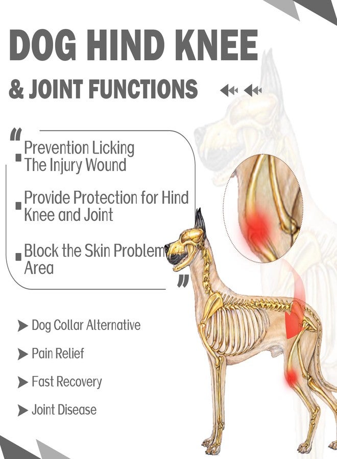 ROZKITCH Dog Leg Sleeve to Stop Licking for Rear Right Left Leg, Pet Prevent Licking Wound Elbow Protector, Leg Protectors Licking for Sprain ACL CCL Arthritis Joint Care Grey S - Image 3