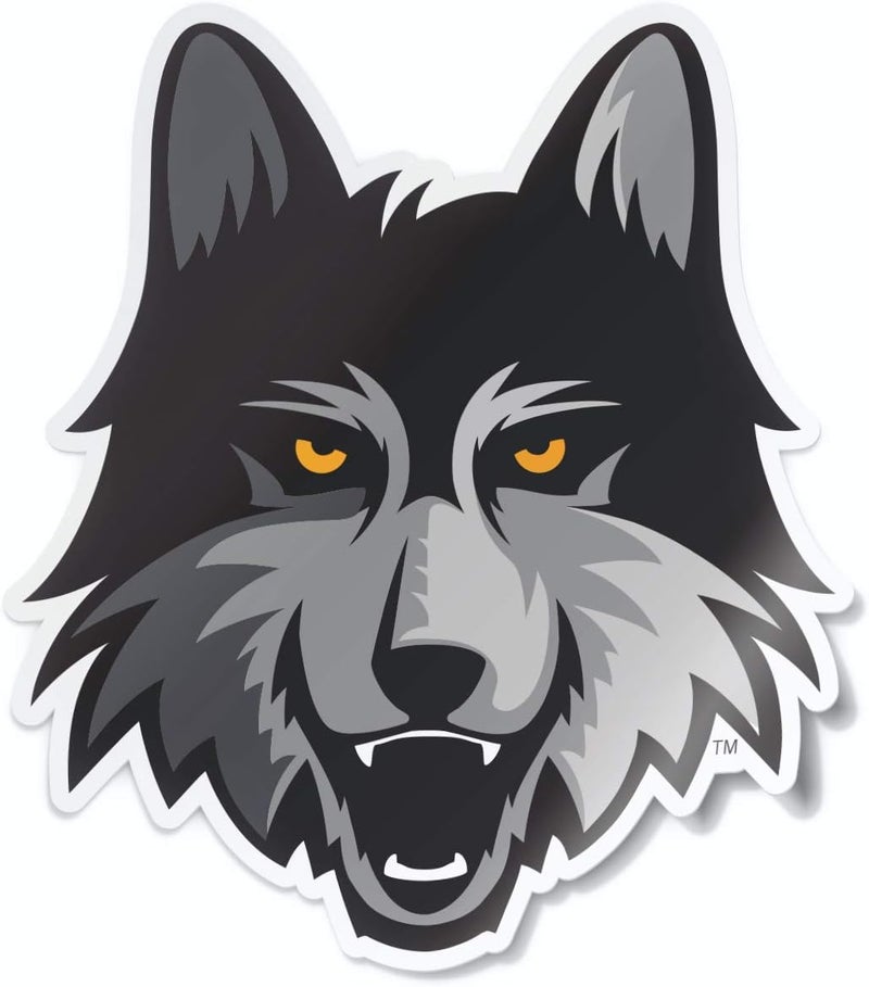 Nudge Printing NCAA Vintage Popular Car Decals - Image 1