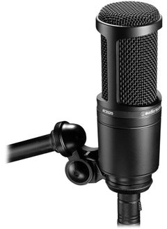 audio-technica Mic AT2020 