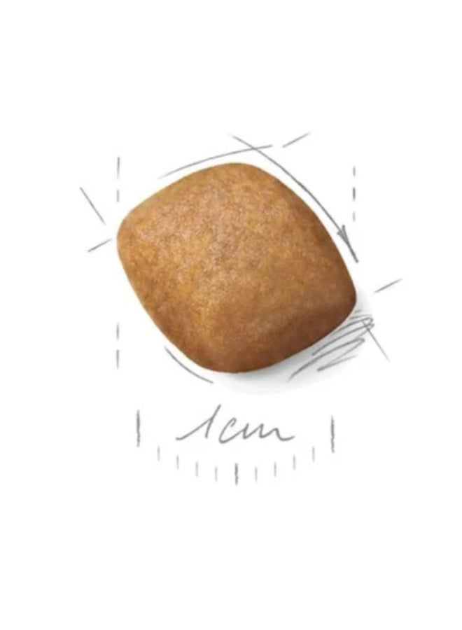 Royal Canin Breed Health Nutrition Pomeranian Adult Dry Food - 1.5kg - Image 4