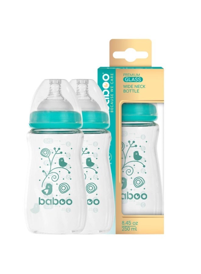 Baboo - Anti Colic Glass Bottle Set with Wide Neck - Pack of 2 - 250ml - Image 1