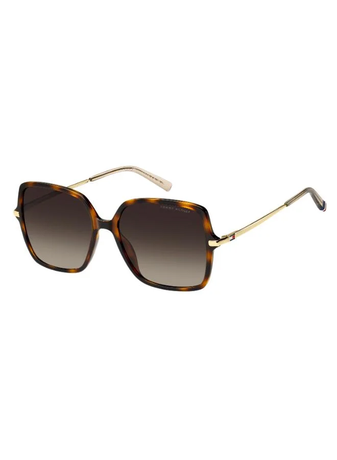 TOMMY HILFIGER  Wayfarers Sunglasses  | Best Price UAE