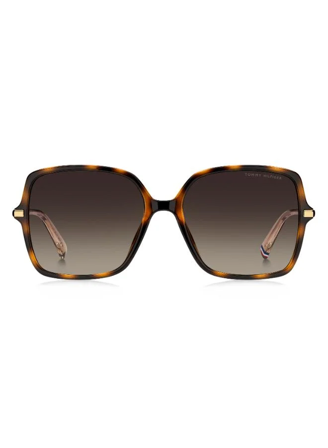 Wayfarers Sunglasses