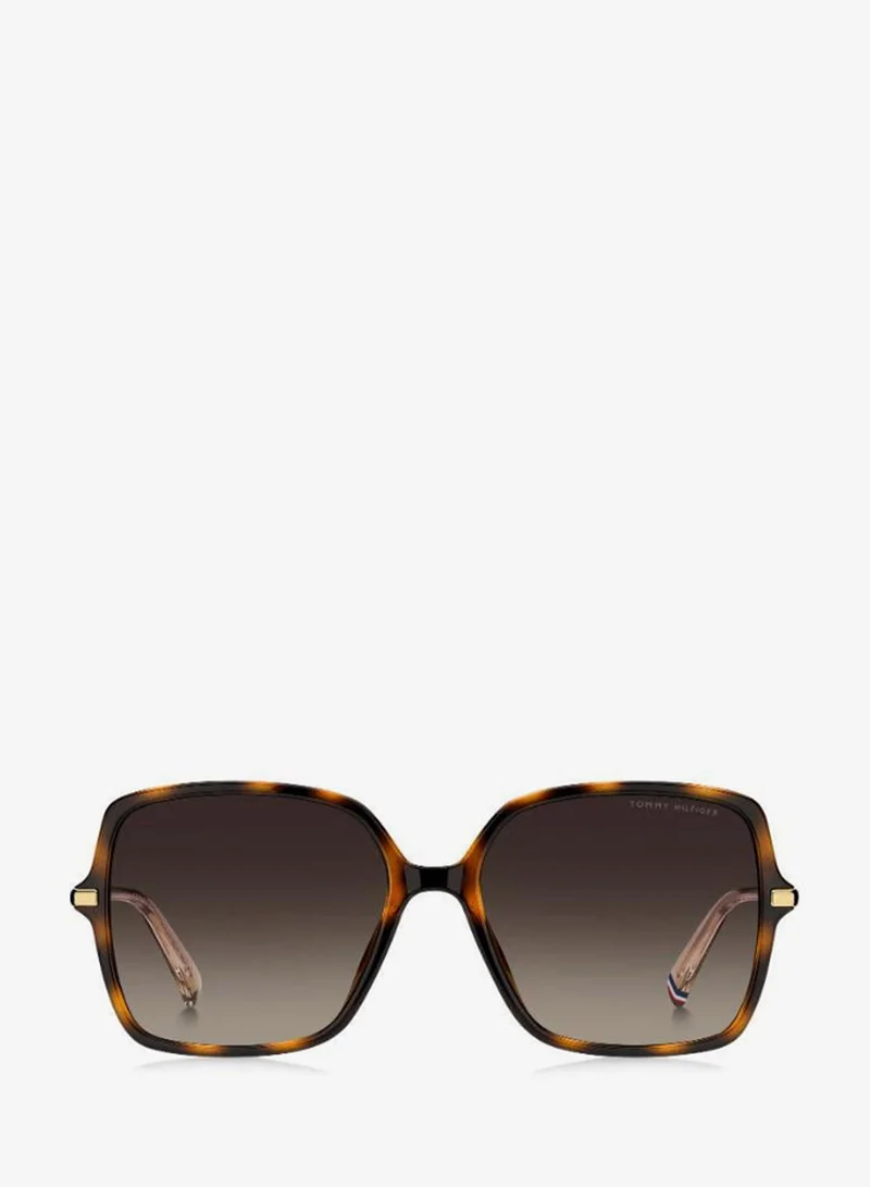 TOMMY HILFIGER Wayfarers Sunglasses