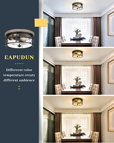 EAPUDUN 2-Light Flush Mount Ceiling Light Fixture, 12inch Farmhouse Vintage Close to Ceiling Lights with Clear Glass for Kitchen Bedroom Foyer Hallway Stairway Entryway, FMA1414-FBDT - Image 2