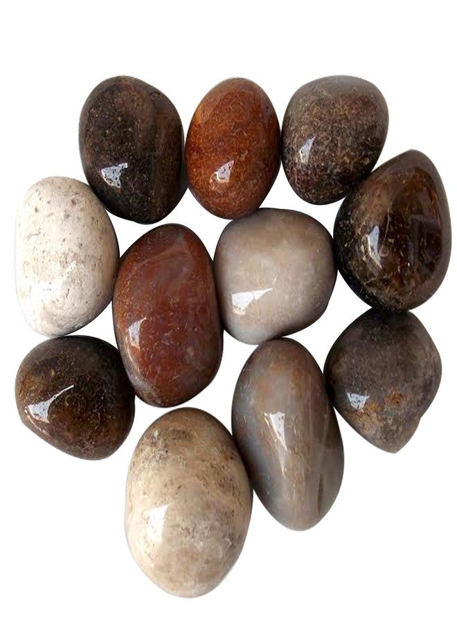 Prisha Collections Glossy Home Decorative Polished Stones/Pebbles for Home Decor/Garden Decor/Outdoor Décor/Vase Filler/Aquarium/Table Decor/Landscaping(Fancy Mix, 2kg), White, Standard (JGP221)