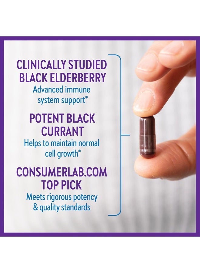 New Chapter Vegan Elderberry Capsules with 64x Concentrated Black Elderberry + Black Currant for Comprehensive Immune Support, Non-GMO Project Verified, Gluten Free, Certified Vegan, 60 Count - Image 3