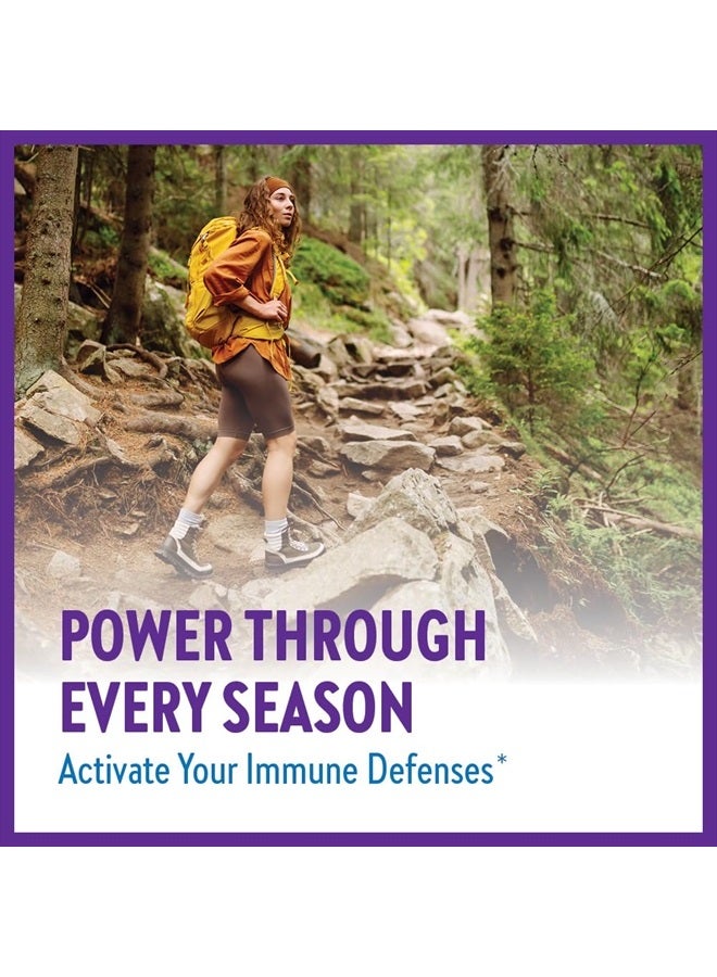 New Chapter Vegan Elderberry Capsules with 64x Concentrated Black Elderberry + Black Currant for Comprehensive Immune Support, Non-GMO Project Verified, Gluten Free, Certified Vegan, 60 Count - Image 2