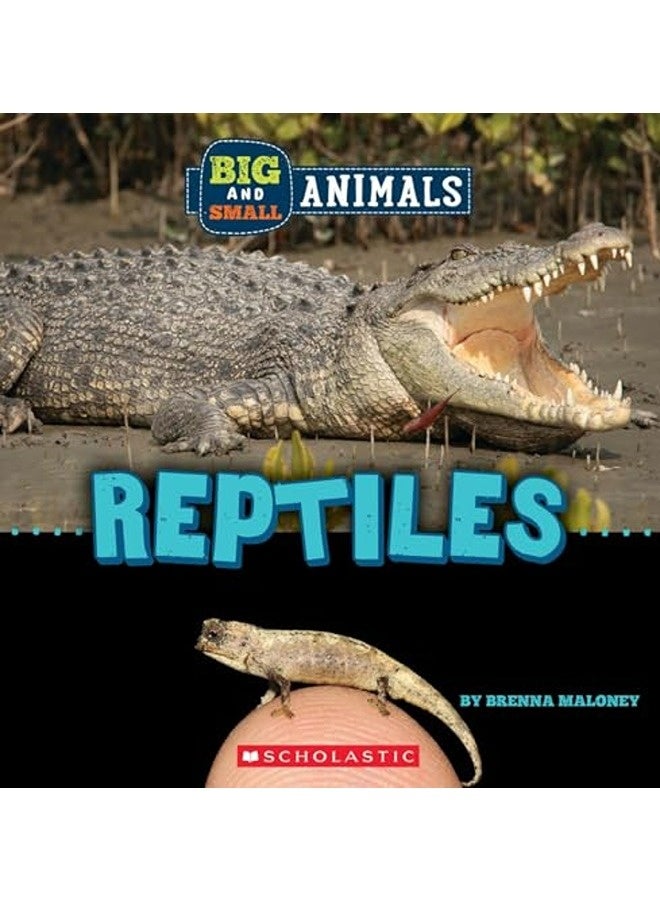 Big And Small: Reptiles (Wild World) 