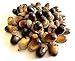 Aliotech Aliotech 50 Pack Artificial Acorns Lifelike with Acorn Cap Simulation Small Acorn for DIY Crafting, Wedding, Home  - Image 2