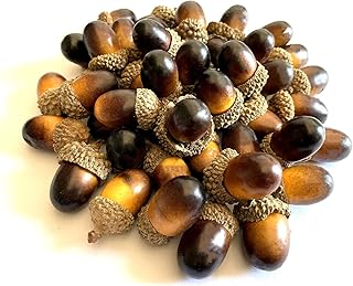 Aliotech Aliotech 50 Pack Artificial Acorns Lifelike with Acorn Cap Simulation Small Acorn for DIY Crafting, Wedding, Home  - Image 1
