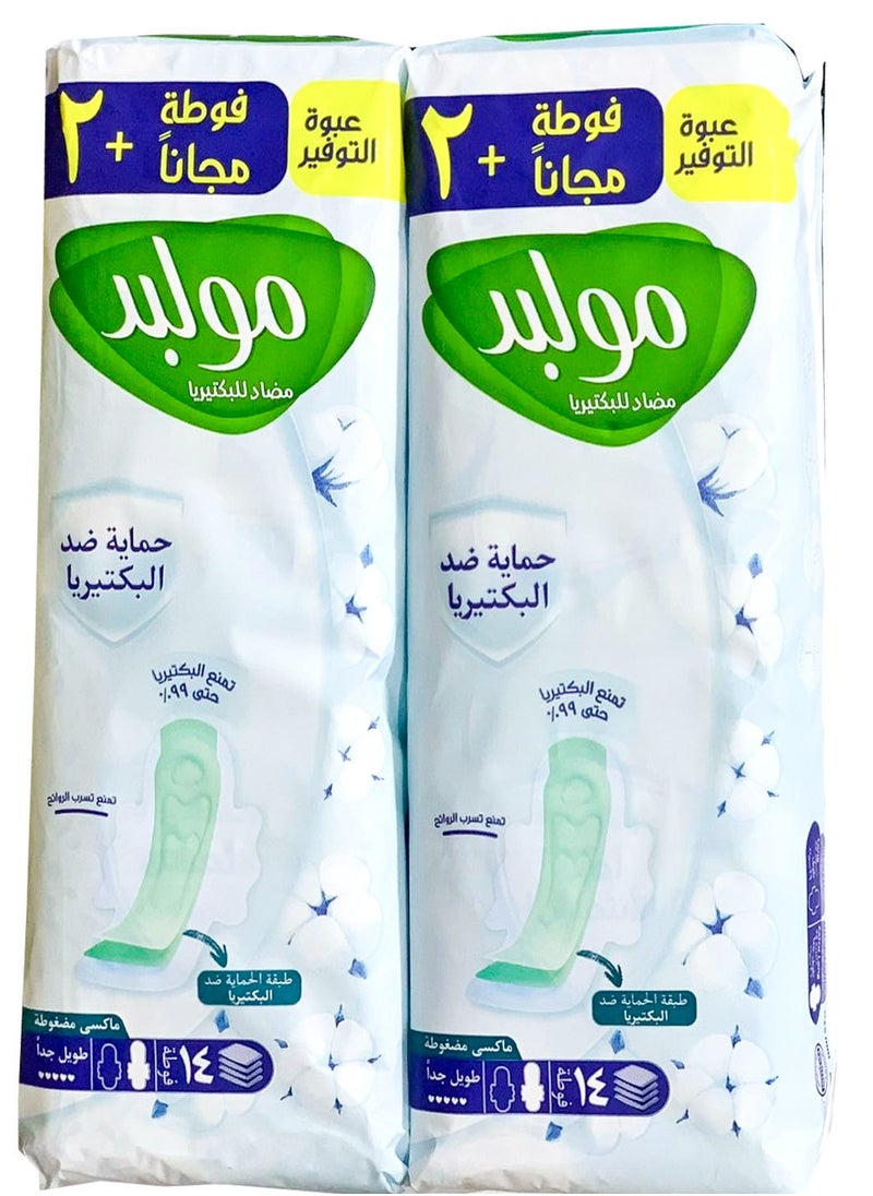 Molped Extra Hygiene Value Pack Extra Long 14 Pads 2Pc